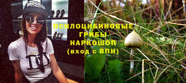 spice Балахна