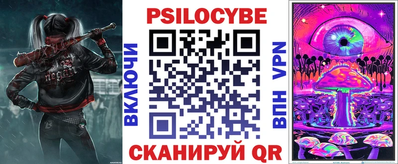 купить   Гулькевичи  Псилоцибиновые грибы мицелий 