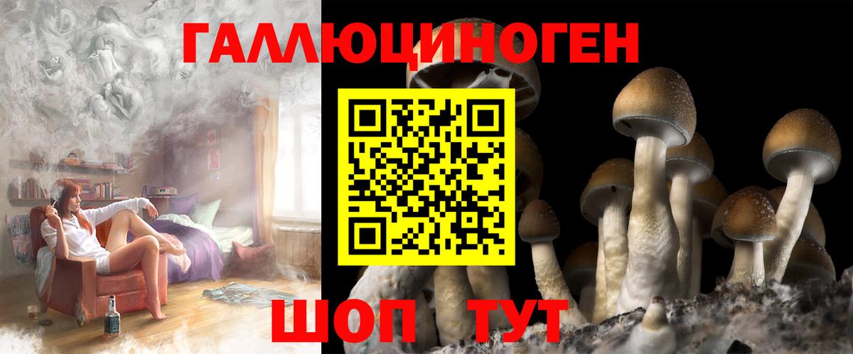 Псилоцибиновые грибы GOLDEN TEACHER Гулькевичи